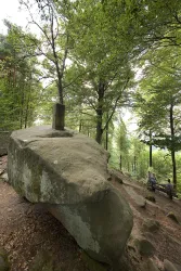 Ein großer Felsen steht in einem dichten Wald. Im Hintergrund sind Bäume und Wanderer sichtbar.