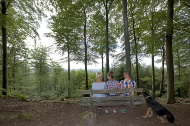 Eine Gruppe von Menschen sitzt auf einer Bank im Wald. Im Hintergrund sind hohe Bäume und eine ruhige Landschaft zu sehen.