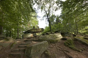 Eine ruhige Waldlandschaft mit großen Felsen und üppigem Grün. Ein schöner Pfad führt zu den Felsen in der Natur.