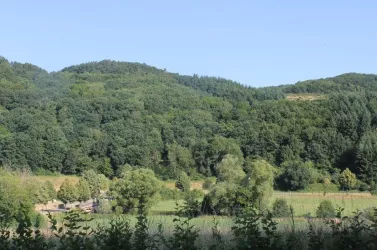 Blick ins Glantal