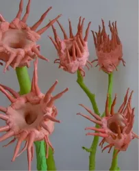 Bunte, skulpturale Blüten mit langen, ausstehenden Tentakeln stehen auf grünen Stielen. Die Formen sind organisch und kreativ gestaltet.