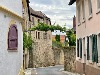 Eine malerische Gasse mit alten Häusern und einer Weinrebenüberdachung. Der Himmel ist bewölkt und die Straße führt sanft um die Ecke.