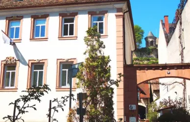 Weingutansicht © Weingut Weegmüller