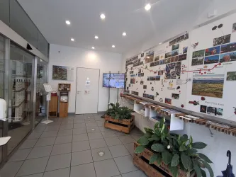 Ein heller Empfangsbereich mit Pflanzen und Bildern an der Wand. Ein Bildschirm zeigt Informationen und es gibt eine Tür zum nächsten Raum.