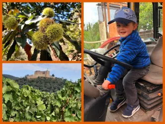 Weingut Nickel Paul (© Weingut Nickel)