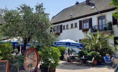 Weingut Nickel Hof (© Weingut Nickel)