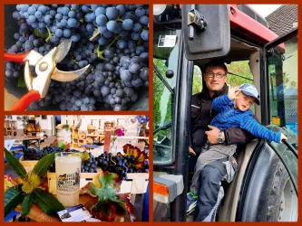 Weingut Nickel Marc und Paul (© Weingut Nickel)