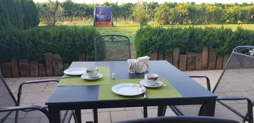 Ein gedeckter Tisch auf einer Terrasse mit Blick auf Weinreben. Es gibt Tassen und Teller auf einem grünen Tischset.