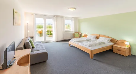 Ein helles Zimmer mit einem Doppelbett und einem Schlafsofa. Große Fenster sorgen für viel Tageslicht und einen Blick ins Grüne.