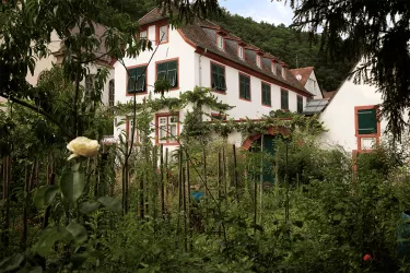 Ansicht