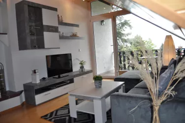 Wohnzimmer mit Wohnwand