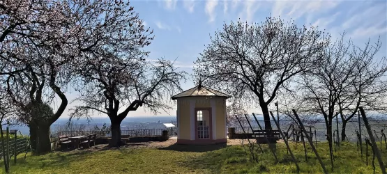 König Ludwig Pavillon