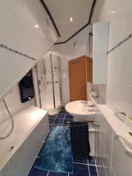 Badezimmer mit Blick zur Dusche