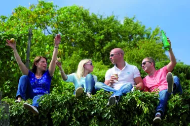 Diedesfelder Weinkerwe