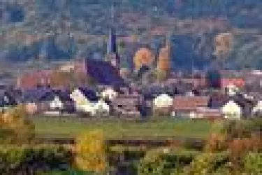 Weindorf Diedesfeld (© Ortsverwaltung Diedesfeld)