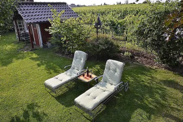Garten mit Liegestühlen direkt am Rebenmeer