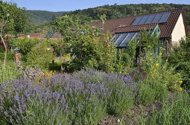 Blick zum Pfälzerwald vom Garten aus