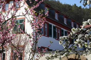 Hausansicht Blüte