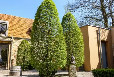 Sommerambiente im Hof