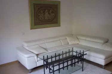 Wohnzimmer Couch