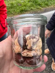 Ein Glas mit verschiedenen Keksen, darunter runde und geschmackvolle Sorten. Die Kekse sind liebevoll in einem Glas verpackt und werden von einer Hand gehalten.