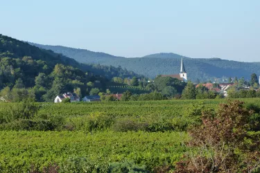 Blick Richtung Hambach