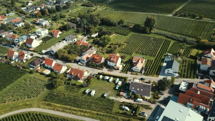 Umgeben von Weinbergen