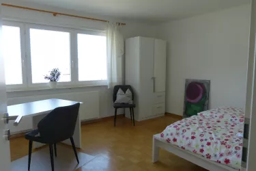 Zimmer1-2