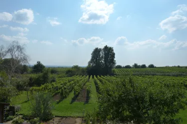 Gartenseite