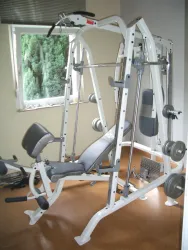 Ein Fitnessgerät in einem hellen Raum mit Fenstern und Blick ins Grüne. Es ist mit verschiedenen Gewichten ausgestattet und bietet Platz für unterschiedliche Übungen.