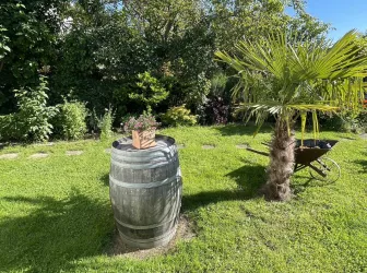 Garten Mandelbäumchen