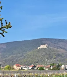 Ansicht Hambacher Schloß
