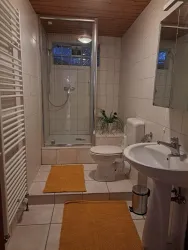 Ein modernes Badezimmer mit einer Dusche, einem Waschbecken und einer Toilette. Die Ausstattung ist hell, mit beigen Fliesen und einer Pflanze zur Dekoration.