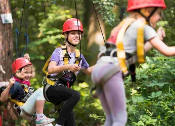 Eine Gruppe von Kindern schwingt fröhlich an Seilen im Wald. Sie tragen Helme und Sicherheitsgeschirr.