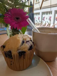 Ein frisch gebackener Blaubeermuffin auf einem Teller, daneben steht eine Tasse Kaffee. Im Hintergrund ist eine bunte Blume in einer Vase zu sehen.