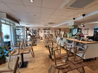 Ein modernes Café mit holzgetäfeltem Boden und vielen Pflanzen. Die Stühle sind auf den Tischen gestapelt, während die Theke mit verschiedenen Produkten dekoriert ist.