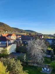 Eine malerische Landschaft mit Häusern und einem blühenden Baum im Vordergrund. Im Hintergrund sieht man sanfte Hügel und einen klaren blauen Himmel.
