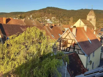 Ein Blick auf traditionelle Häuser mit roten Dächern und einer grünen Baumkrone. Im Hintergrund ist ein Hügel und ein Kirchturm sichtbar.
