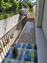 Einen gefliesten Balkon mit einem bunten Tisch und einem kleinen Dekorationsobjekt. Im Hintergrund sind Pflanzen und ein Zugang zu einem Garten zu sehen.