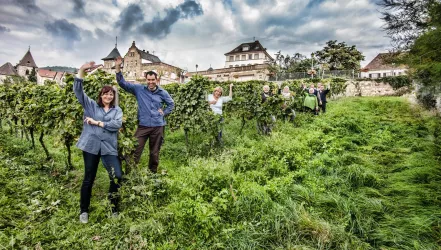 Ansicht ©Weingut Ferckel