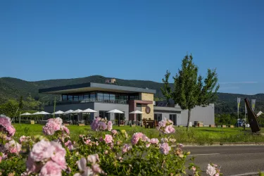 Weingut Isler