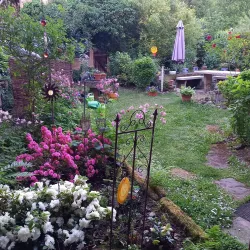 Ein gemütlicher Garten mit bunten Blumen und grünen Pflanzen. Im Hintergrund steht ein Sonnenschirm und ein Grillplatz.