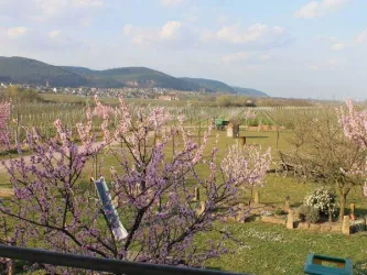 Ausblick