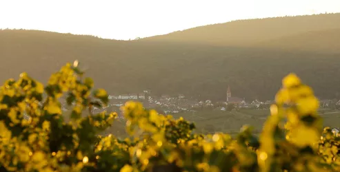 KÖBA