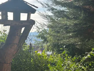 Durch das Grüne, erkennt man die Silhouette des Hambacher Schlosses am gegenüber liegenden Berg.