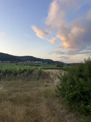 Die Unterkunft ist umgeben von den schönen Weinbergen der Pfalz.