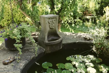 Ein schöner Gartenteich mit Wasserlilien und einer steinernen Quelle. Umgeben von üppigem Grün und Blumen.