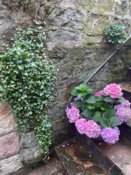 blumige Begrüßung....