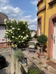 Hier macht am Abend die Sonne nochmals eine kleine Pause .