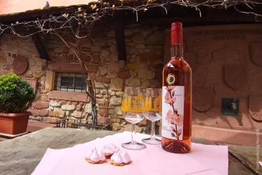 Ein Flasche Roséwein steht auf einem Tisch mit zwei Gläsern und kleinen Gebäckstücken. Im Hintergrund ist eine steinerne Wand mit Pflanzen und Details zu sehen.